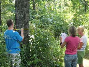 One Master Naturalist taking measurements of a tree and two Master Naturalists entering data on worksheets.