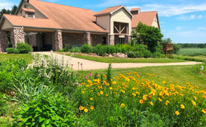 large building with yellow flowers and green plants in foreground