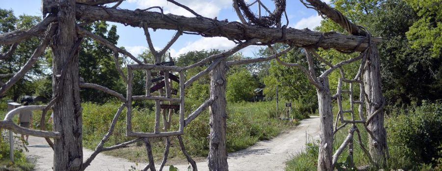 A fancy gateway created with natural logs and branches