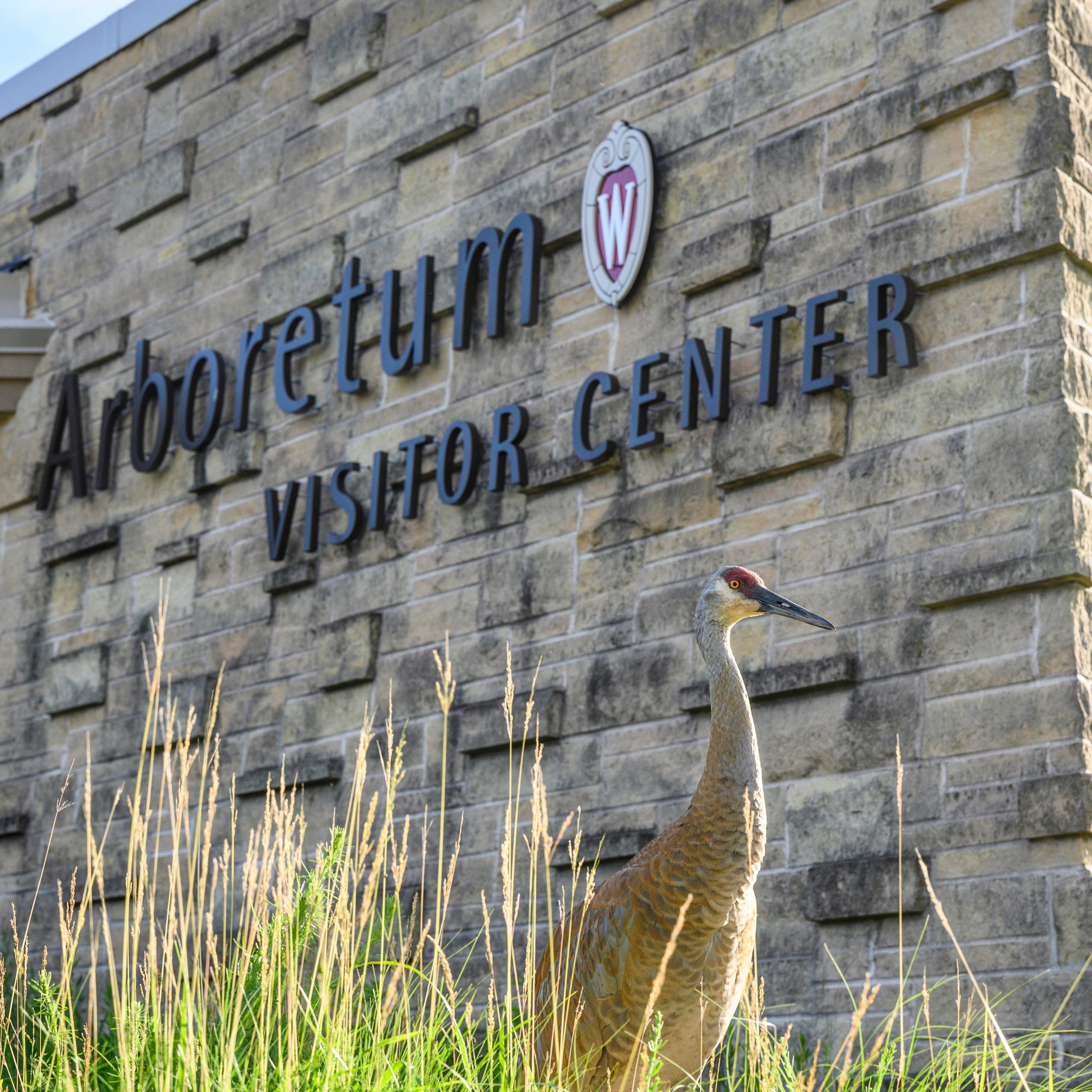 Treehaven Wisconsin Gallery Events - Wisconsin Master Naturalist