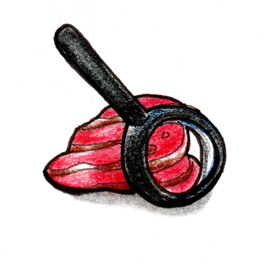 an illustration of a magnifying glass and a rock