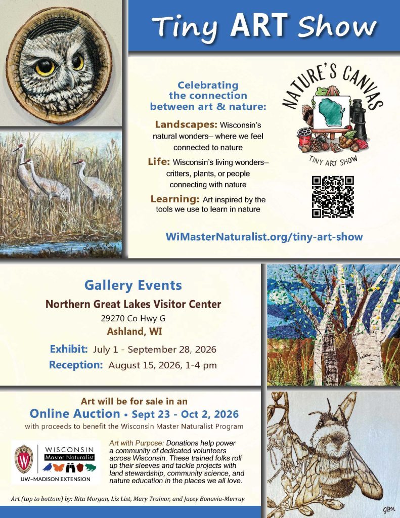 a thumbnail of the Tiny Art Show Ashland gallery poster with examples of art and the gallery information.
