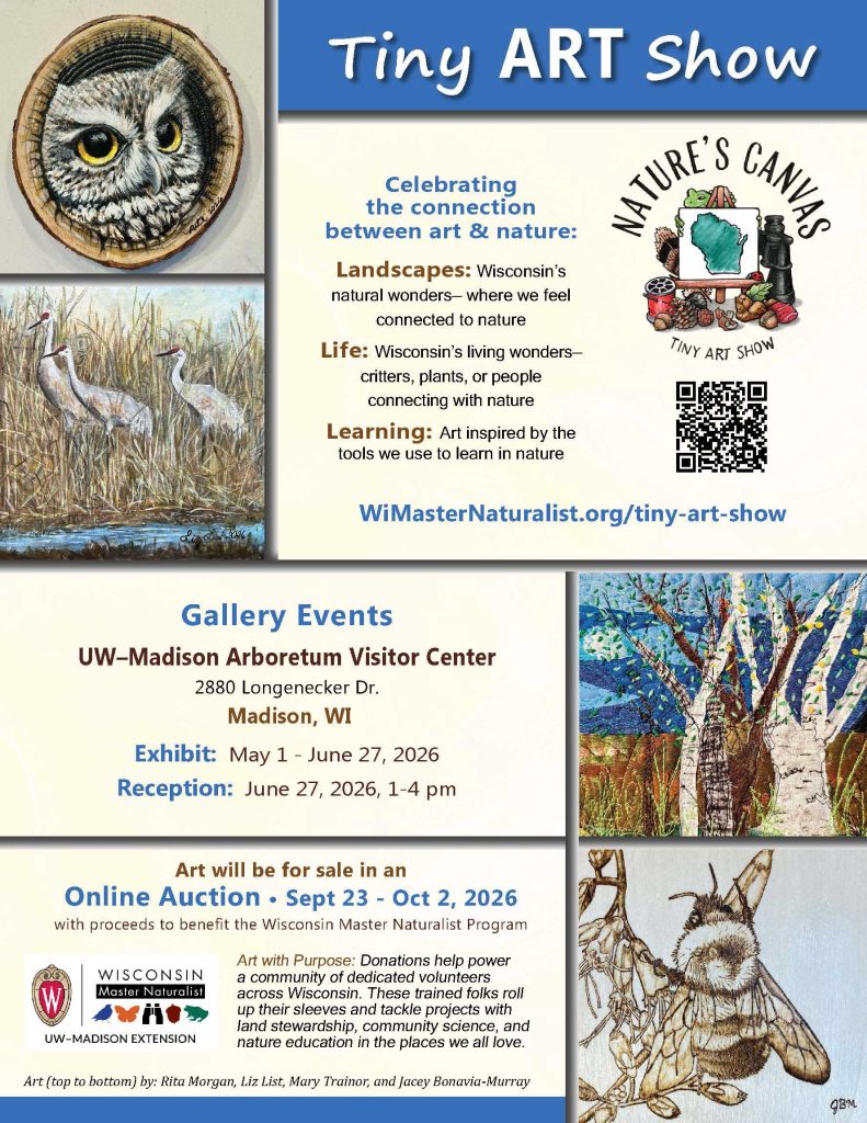 a thumbnail of the Tiny Art Show Madison gallery poster with examples of art and the gallery information.