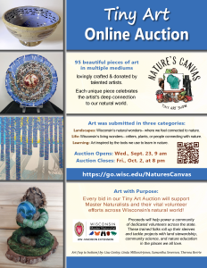 A poster advertising the TIny Art Online Auction, featuring examples of the art and a QR code with a link to learn more.